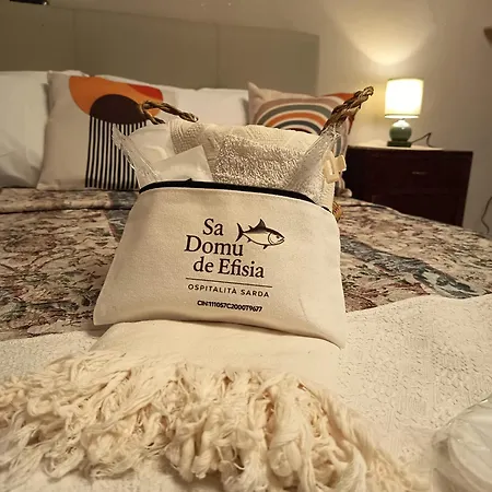 Sa Domu De Efisia *